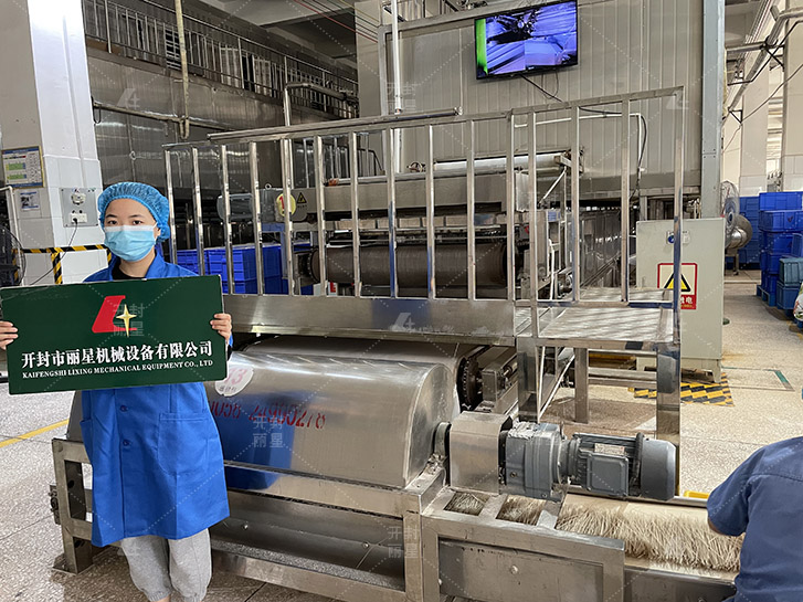 加工粉条的自动化设备，丽星工厂用粉丝生产线工艺特点  粉条加工设备  红薯粉条机