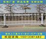 江门京式护栏生产厂家蓬江区市政道路隔离栏杆