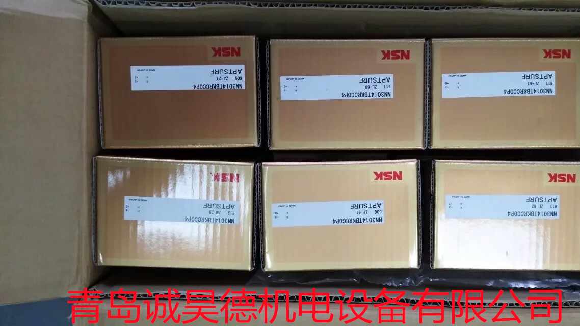 NN3050TBKRCCOP5 NSK轴承安装技术  进口轴承