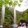 黄山喊泉实力生产公司山东三喜