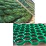 甘肃植草格哪家好及兰州植生袋