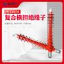 支持定做FSW-110/8复合横担绝缘子FSW-110/16