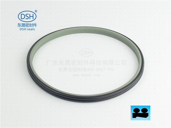东莞东晟密封防尘圈原装现货  双O型防尘圈DPE