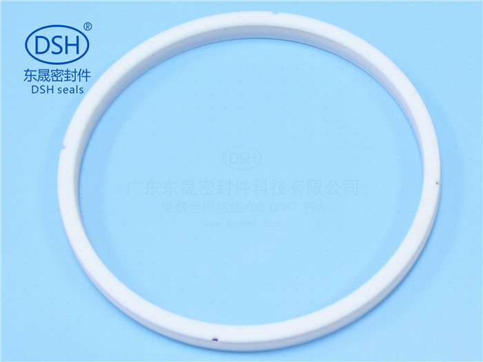 广东东晟密封泛塞封量大从优  加强型泛塞封
