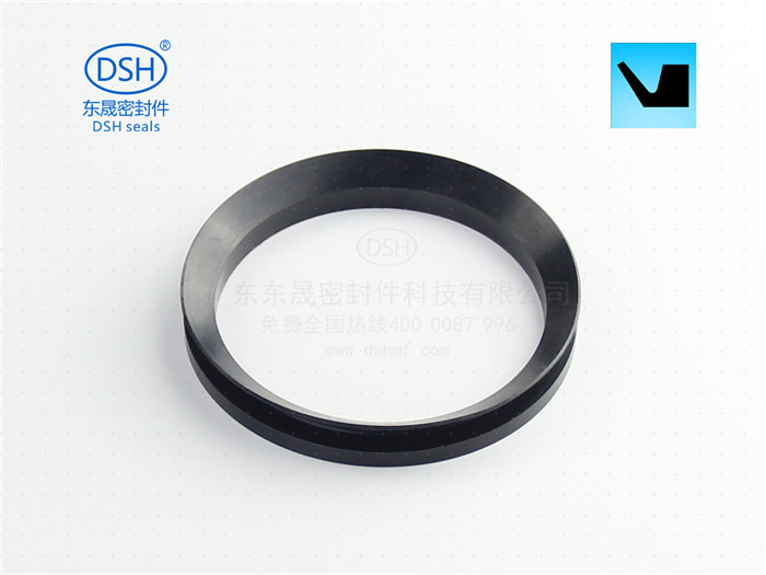 广东东晟密封端面水封原装现货  端面水封DAV