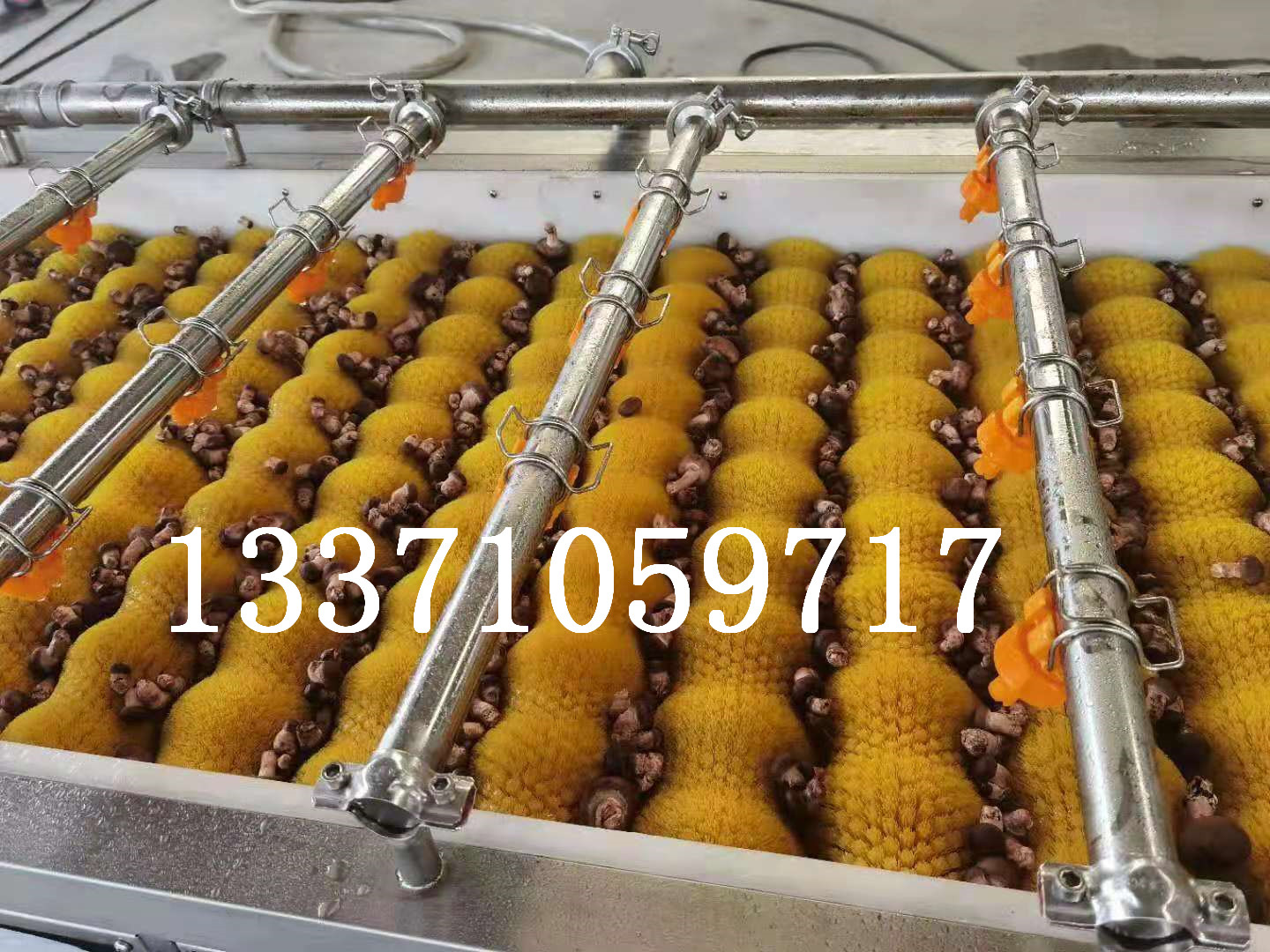 商用地瓜干清洗机设备-食品厂红薯气泡洗菜机设备&nbsp;&nbsp;商用气泡清洗机&nbsp;&nbsp;全自动根茎类洗菜机&nbsp;&nbsp;全自动毛刷清洗机