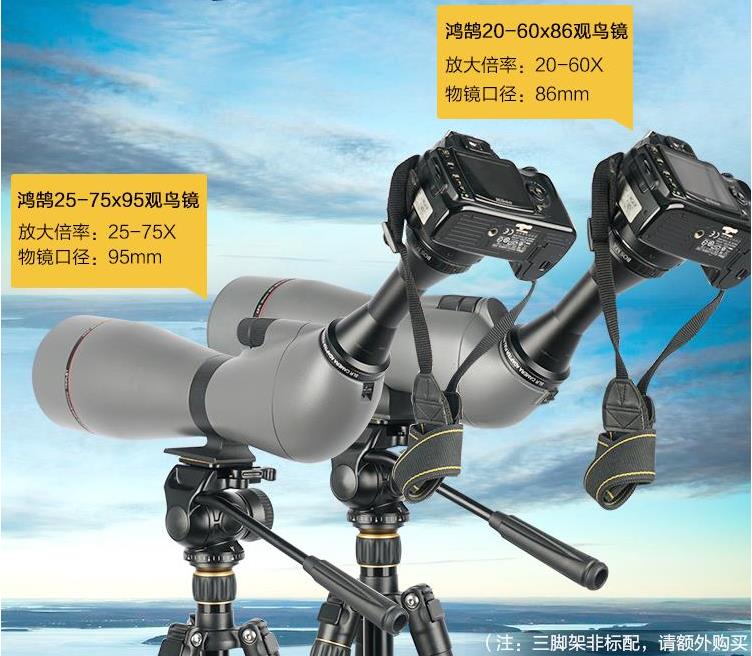 博冠鸿鹄观鸟镜30-60X95/25-75x95/25-50  博冠望远镜  博冠鸿鹄望远镜  博冠观鸟镜