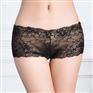 云梦妮厂家货源女士平角蕾丝内裤性感情趣女内裤批发
