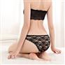 云梦妮外贸棉女士内裤性感蕾丝镂空女式三角裤批发