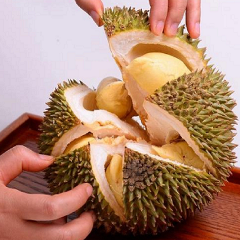 天津泰国凤梨进口报关公司&nbsp;&nbsp;泰国凤梨报关