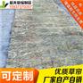 稻夫 公路草苫子 草苫子 草苫 生产厂家 整车发货
