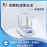 英鹏EXBZ-900/8090-1204AS防爆电子秤