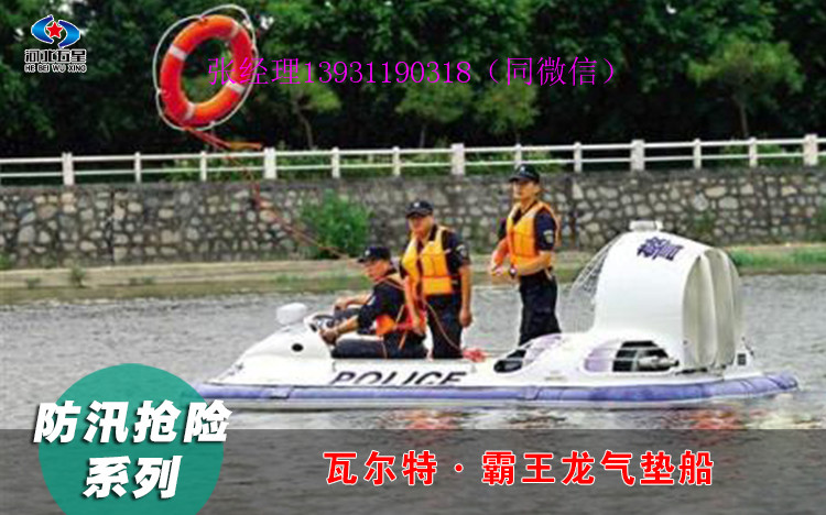 河北五星霸王龙水陆两栖气垫船 霸王龙气垫船型号