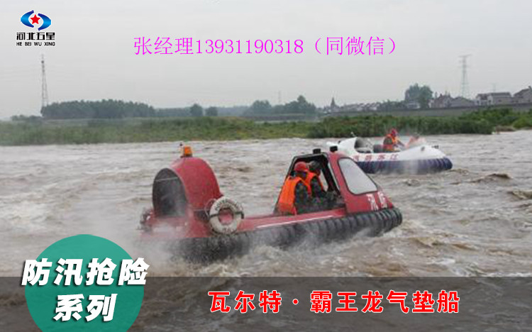 河北五星霸王龙水陆两栖气垫船 霸王龙气垫船型号