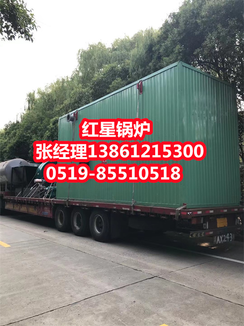 常州燃气锅炉经久耐用寿命长  红星加热炉  生物质锅炉