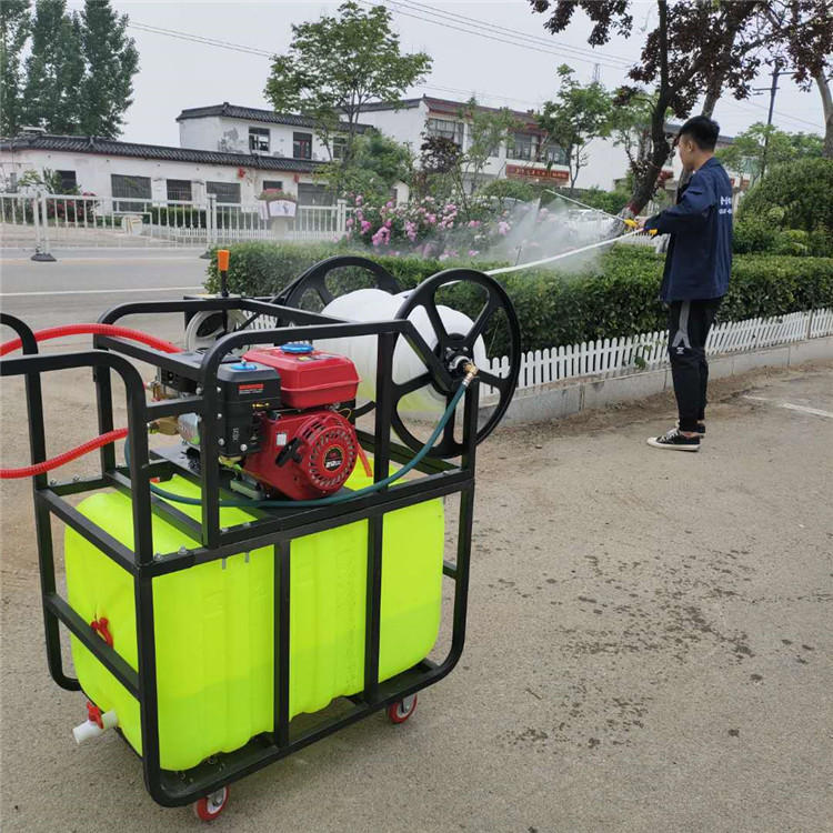 抚顺清原满族手推式喷雾机猪场喷雾消毒设备园林喷雾机
