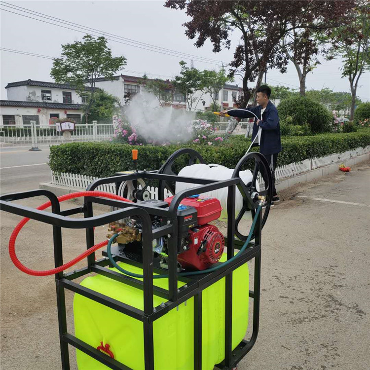 山南隆子防疫消毒喷雾器质量保证高压喷雾