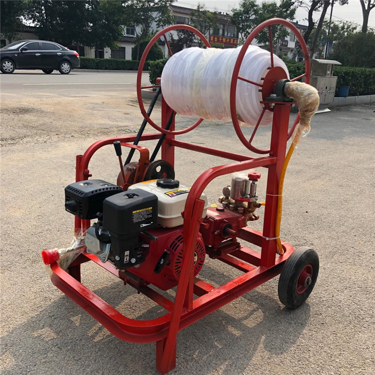 山南隆子防疫消毒喷雾器质量保证高压喷雾