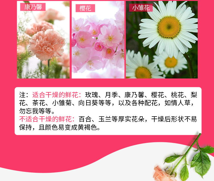 青岛鑫昶来鲜花硅胶干燥剂DIY干花永久干花  鲜花干燥剂  DIY手工制作干花  永久干花干燥剂