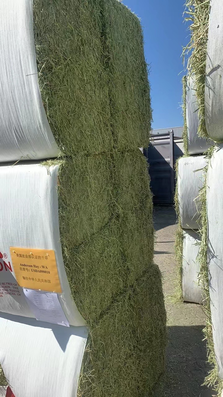 天津塘沽进口南非苜蓿草代理清关&nbsp;&nbsp;进口苜蓿草清关&nbsp;&nbsp;天津港进口苜蓿草清关