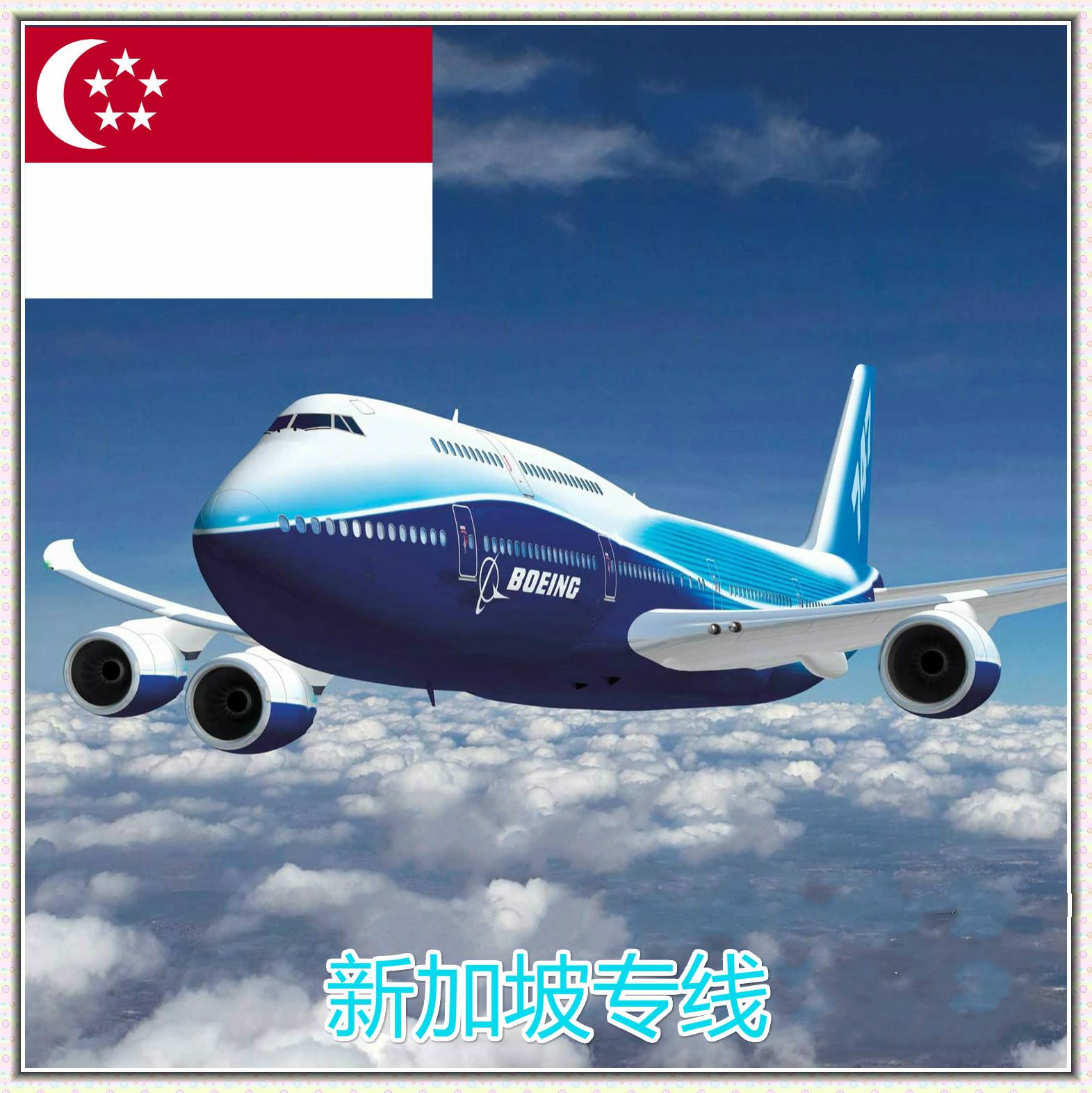 广州到新加坡海运门到门运输  货代  空运