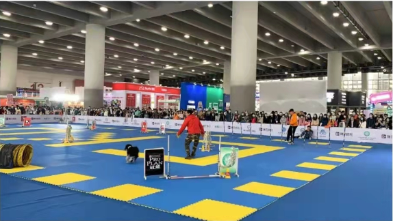 福宠展同期活动  市集活动  犬类表演