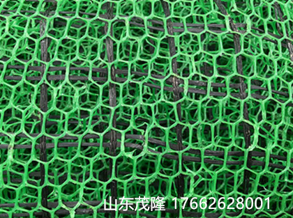 多规格三维立体护坡网 为公路护坡出力量
