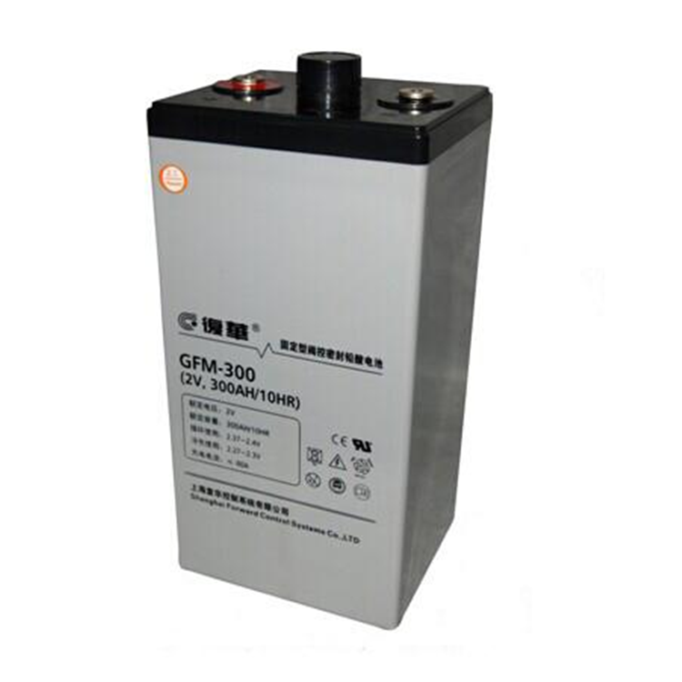 复华蓄电池MF12-100 12V-100AH耐高温蓄电池厂  厂家供应  长寿命  循环使用