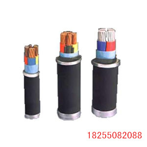 DJYP2VDJYP2VP2电缆现货库存