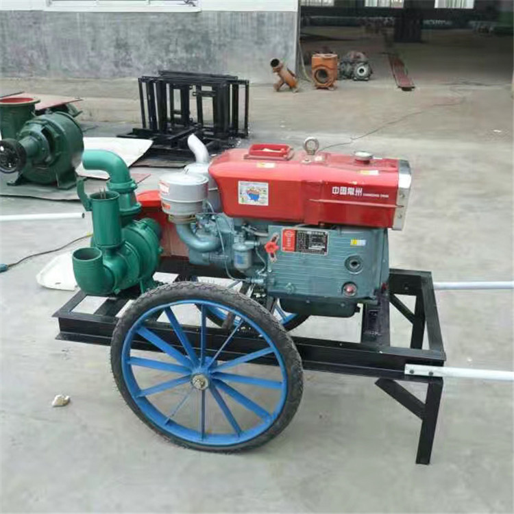 昭通彝良灌溉的水泵防汛排水图片
