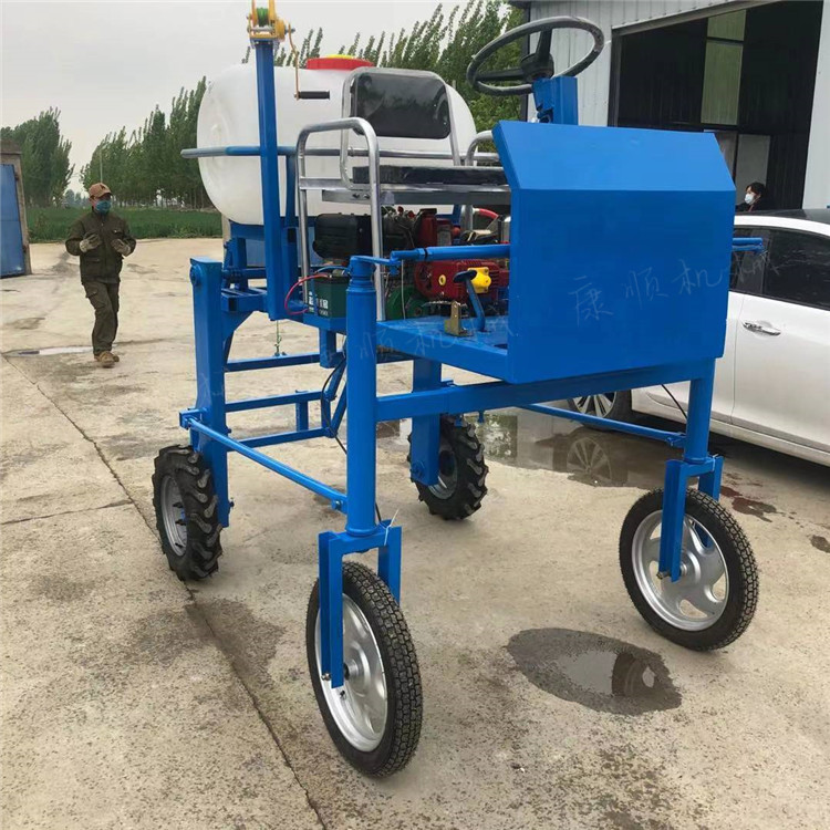 焦作沁阳大棚蔬菜打药机框架高压喷雾器