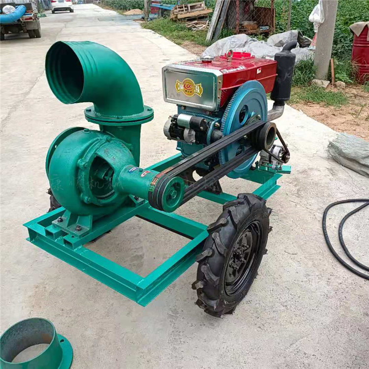 武汉硚口8寸柴油机水泵 防汛排水计划