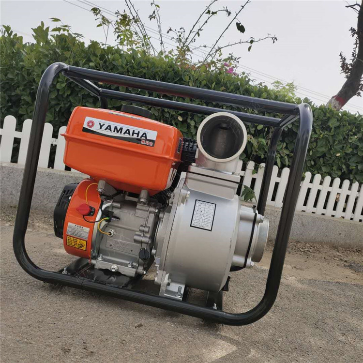 承德隆化排水集团防汛保障工作总结长江防汛排水