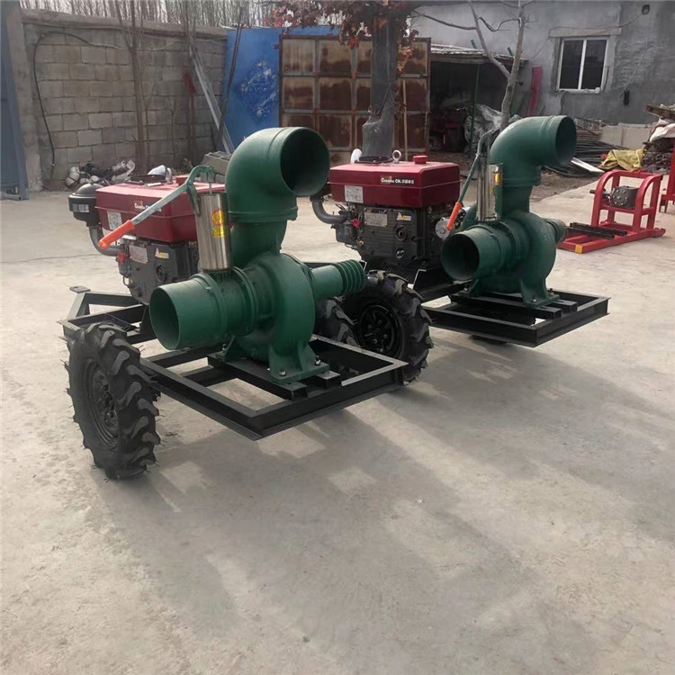 承德隆化排水集团防汛保障工作总结长江防汛排水