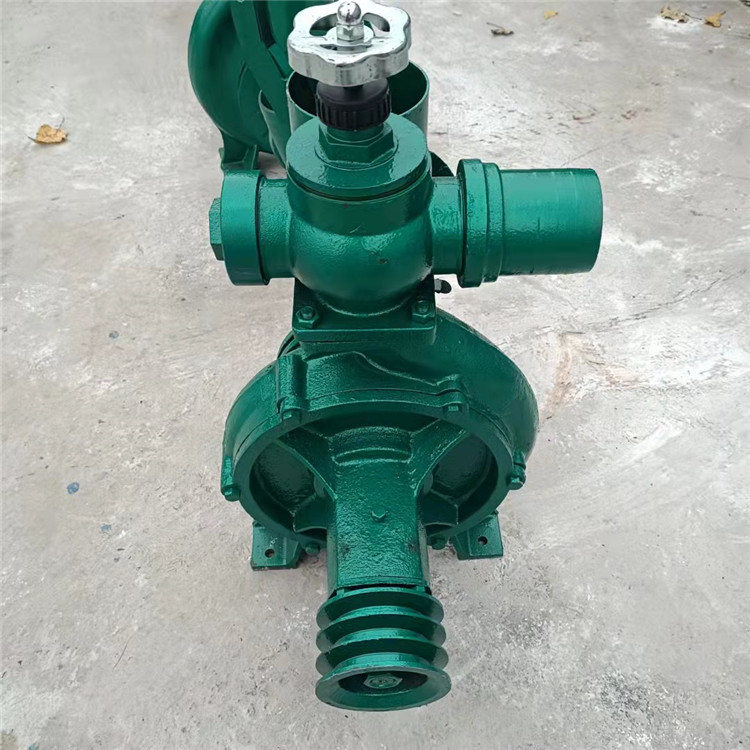 赤峰阿鲁科尔沁旗8寸柴油机水泵 灌溉式水泵