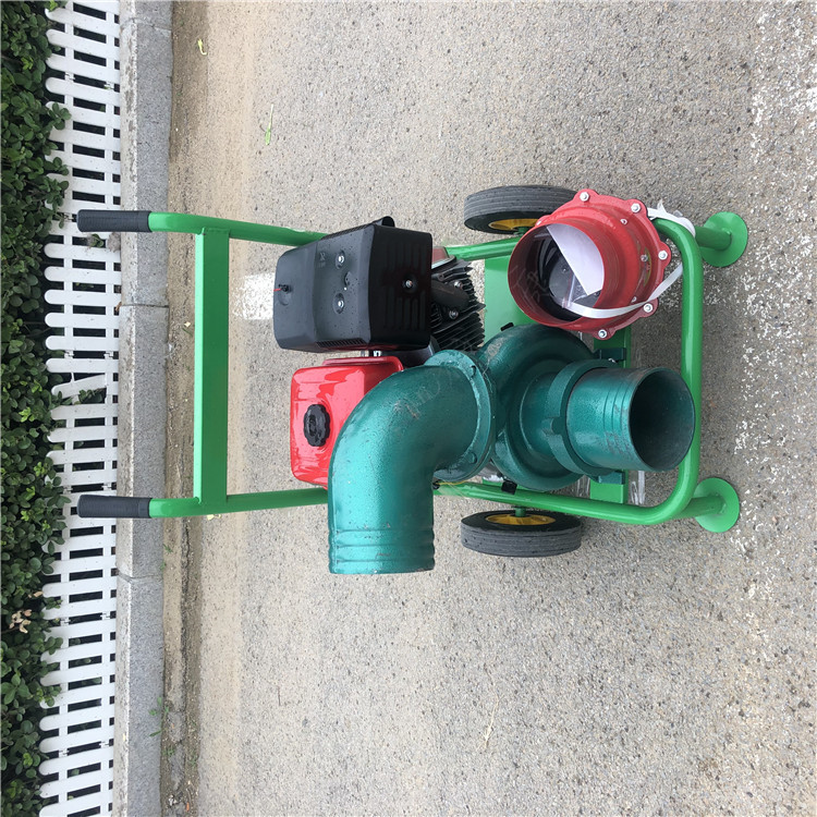 郴州汝城城市内涝防汛排水农业灌溉消防自吸泵