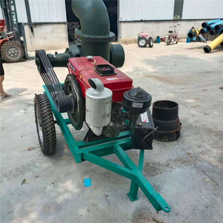 郴州汝城城市内涝防汛排水农业灌溉消防自吸泵