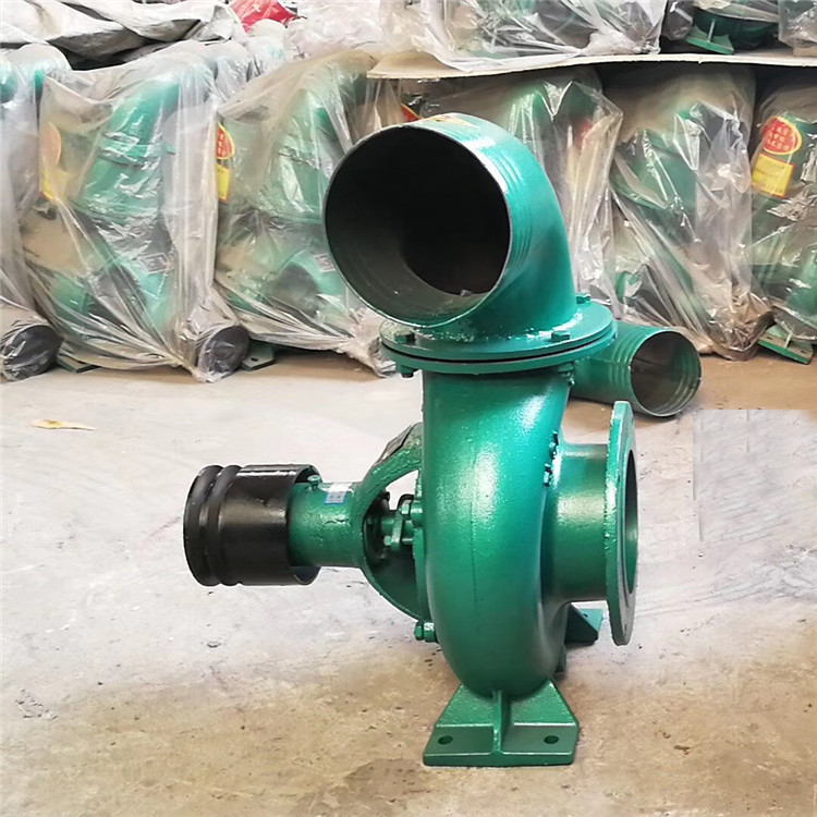 郴州汝城城市内涝防汛排水农业灌溉消防自吸泵