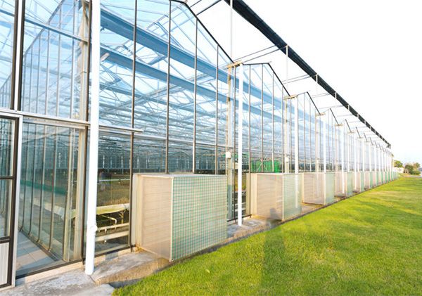 玻璃温室建设厂家