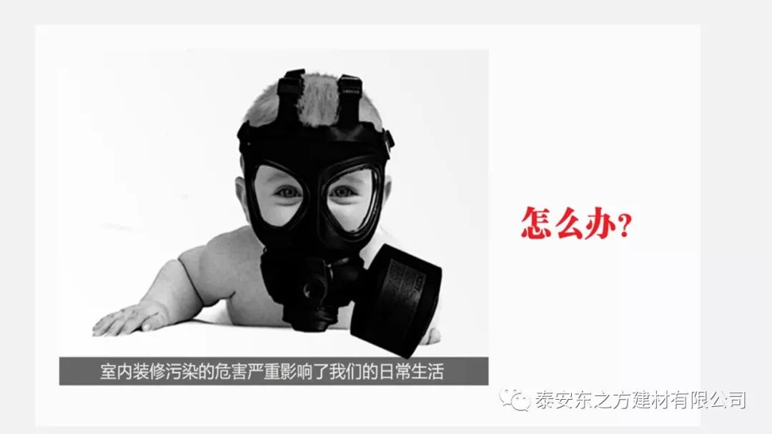 2022净醛神器墙尚美学墙基布专用负离子量子瓷大量供应  净化空气  安全环保
