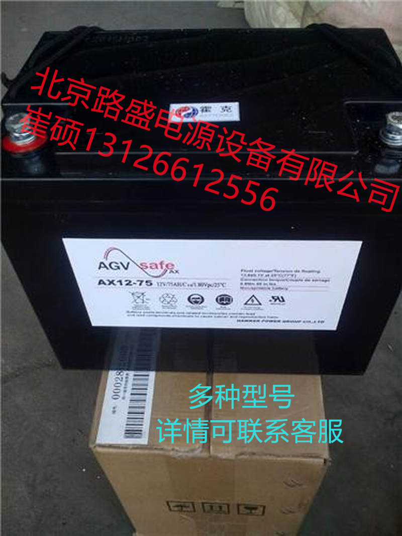 Hawkerpzs蓄电池AX12-60霍克电池12V60Ah&nbsp;&nbsp;HAWKERPZS&nbsp;&nbsp;AGV蓄电池