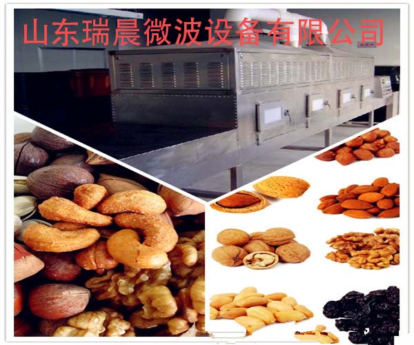 隧道式微波烘烤灭菌设备实施方案  杀菌  消毒