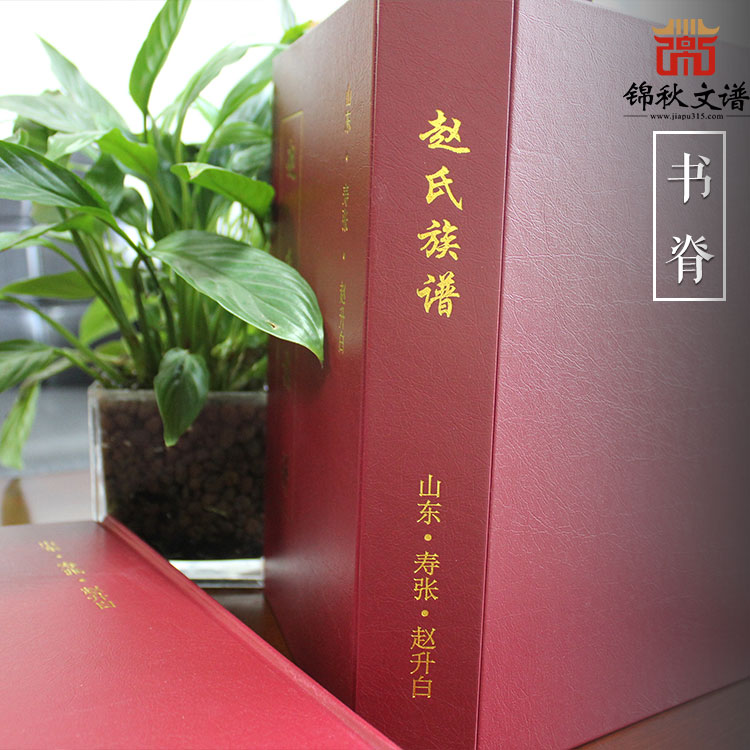精装红色烫金作品：山东·寿张·赵升白《赵氏族谱》