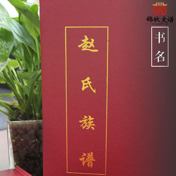 精装红色烫金作品：山东·寿张·赵升白《赵氏族谱》