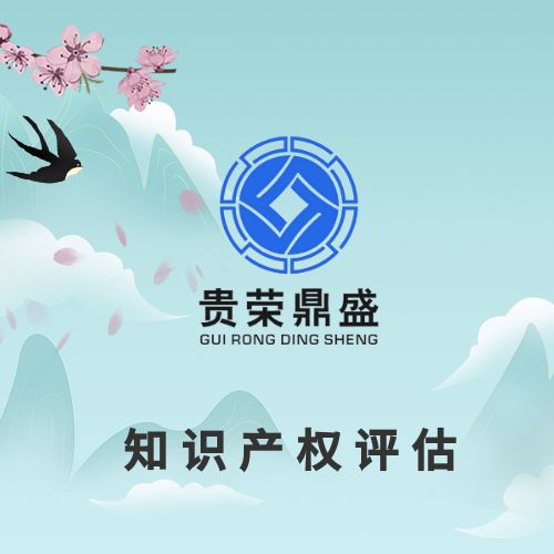 淮安市专利注资评估知识产权评估软著商标出资评估