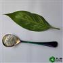 抗菌防霉除臭光触媒 掺钛15纳米活性氧化锌