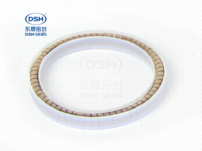湖南东晟密封弹簧泛塞封量大从优  密封件