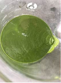 卡介菌多糖核酸研磨分散机-江苏思峻  纳米材料研磨机  医用胶体磨