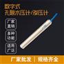 数字式孔隙水压计渗压计