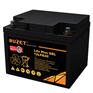 路盛蓄电池12LPG40 12V40AH 海洋检测设备 通信